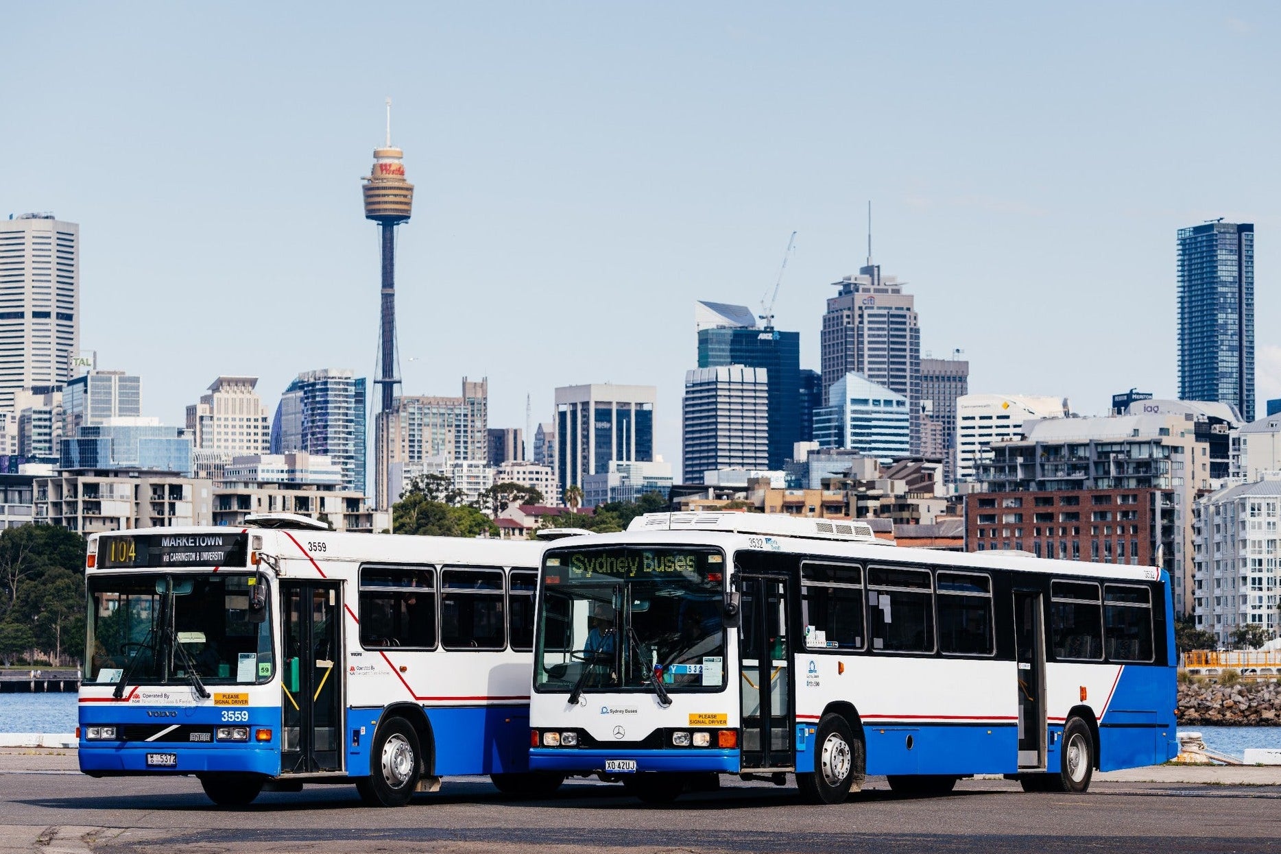 Two buses on a road with sydney skyline in the background